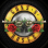 GUNS N ROSES