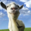 GOAT SIMULATOR