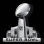 THE SUPER BOWL
