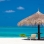 GOA