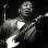 MUDDY WATERS