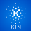 KIN FOUNDATION