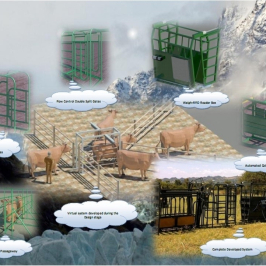 LURIWARE CONSULTING AGRICULTURAL ENGINEERS LLC