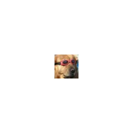 account img