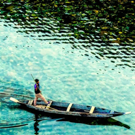 ALONE