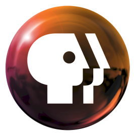 PBS: PUBLIC BROADCASTING SERVICE