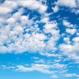 BLUE SKYS