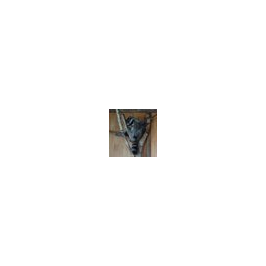 account img