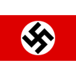 NAZI PARTY