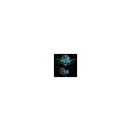 account img
