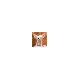 account img