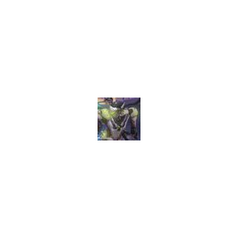 account img