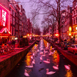 AMSTERDAM RED LIGHT