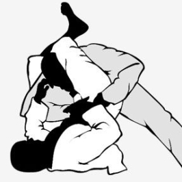 BRAZILIAN JIU-JITSU